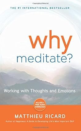 Why Meditate? (RARE BOOKS)