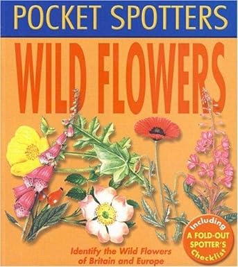 Wildflowers