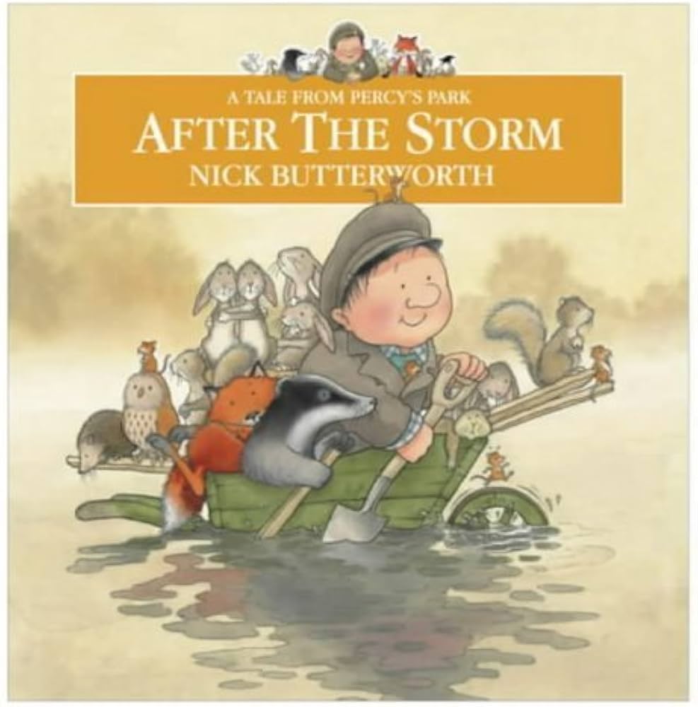 AFTER THE STORM
