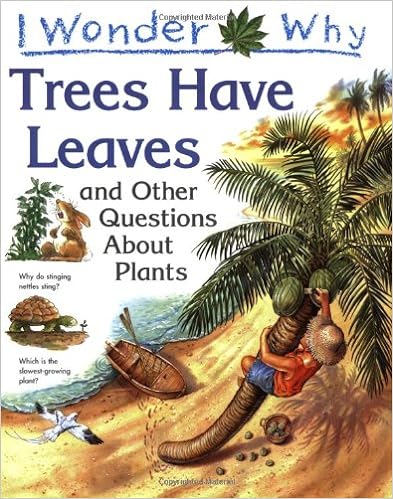 Trees Have Leaves (I Wonder Why)