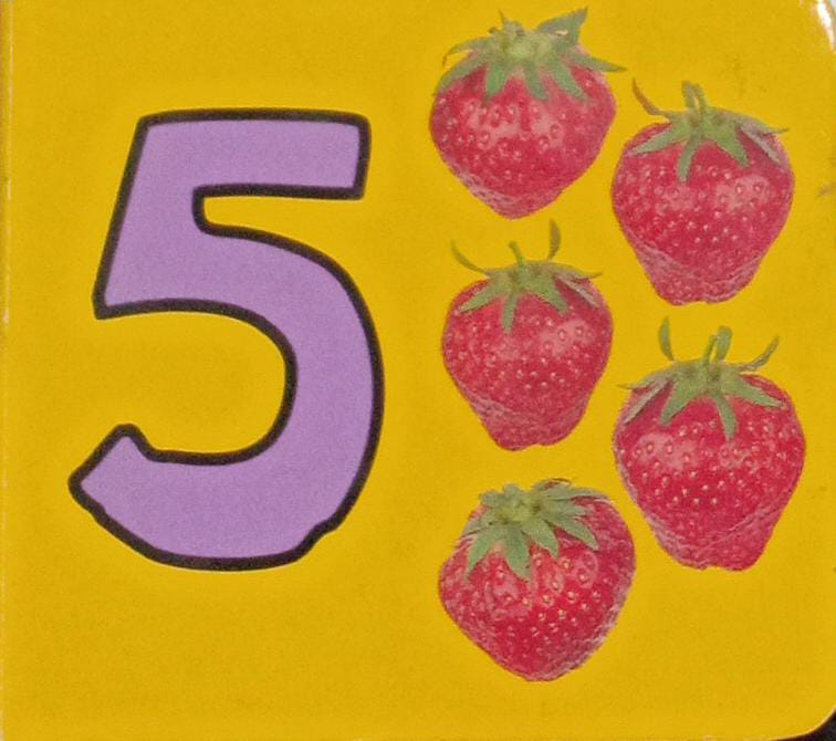 5 (PALM SIZE BOARDBOOK)