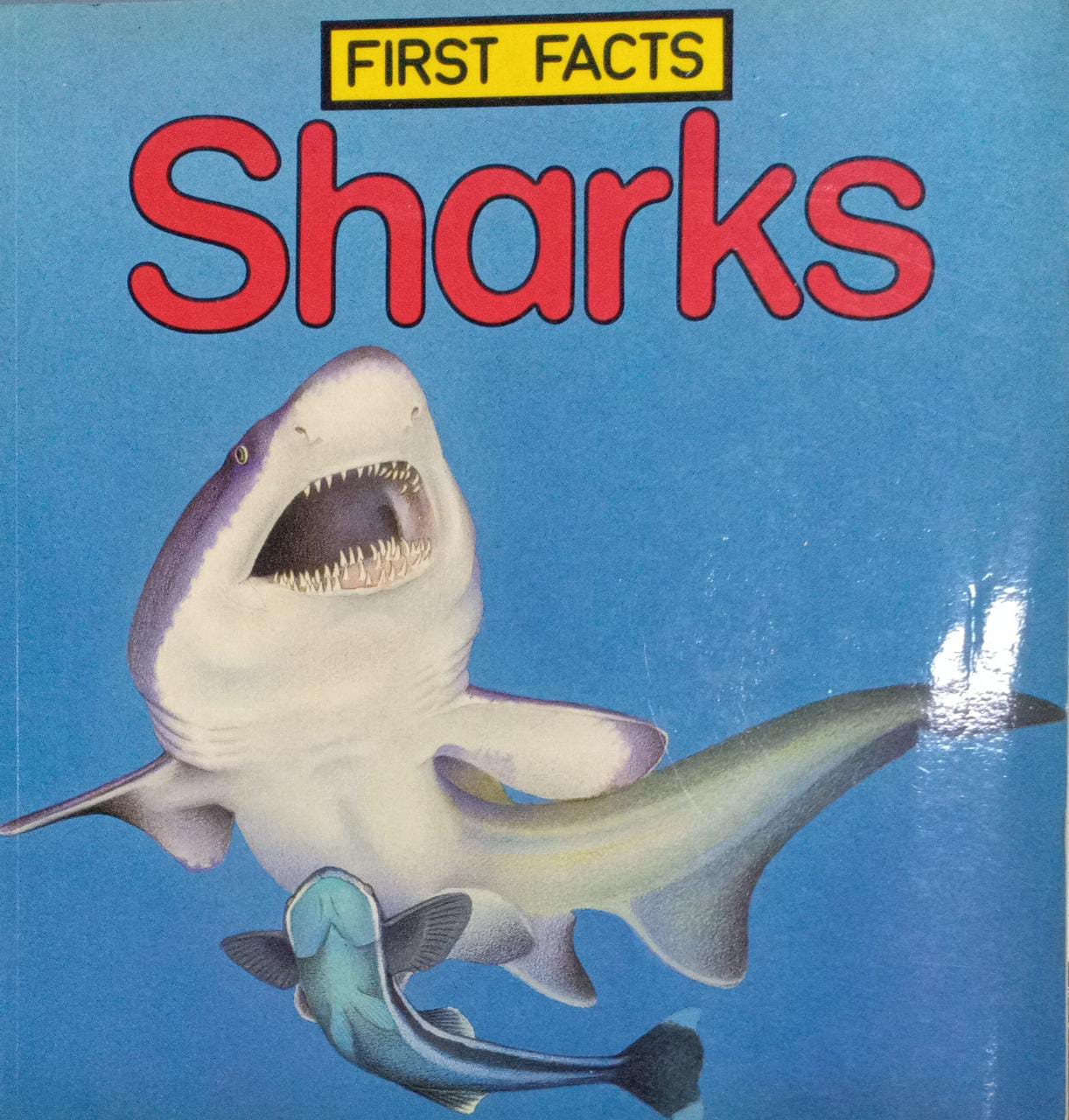 Sharks (First Facts)