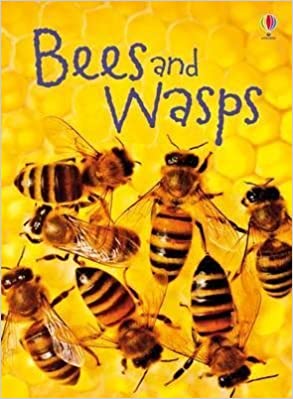 Bees and Wasps