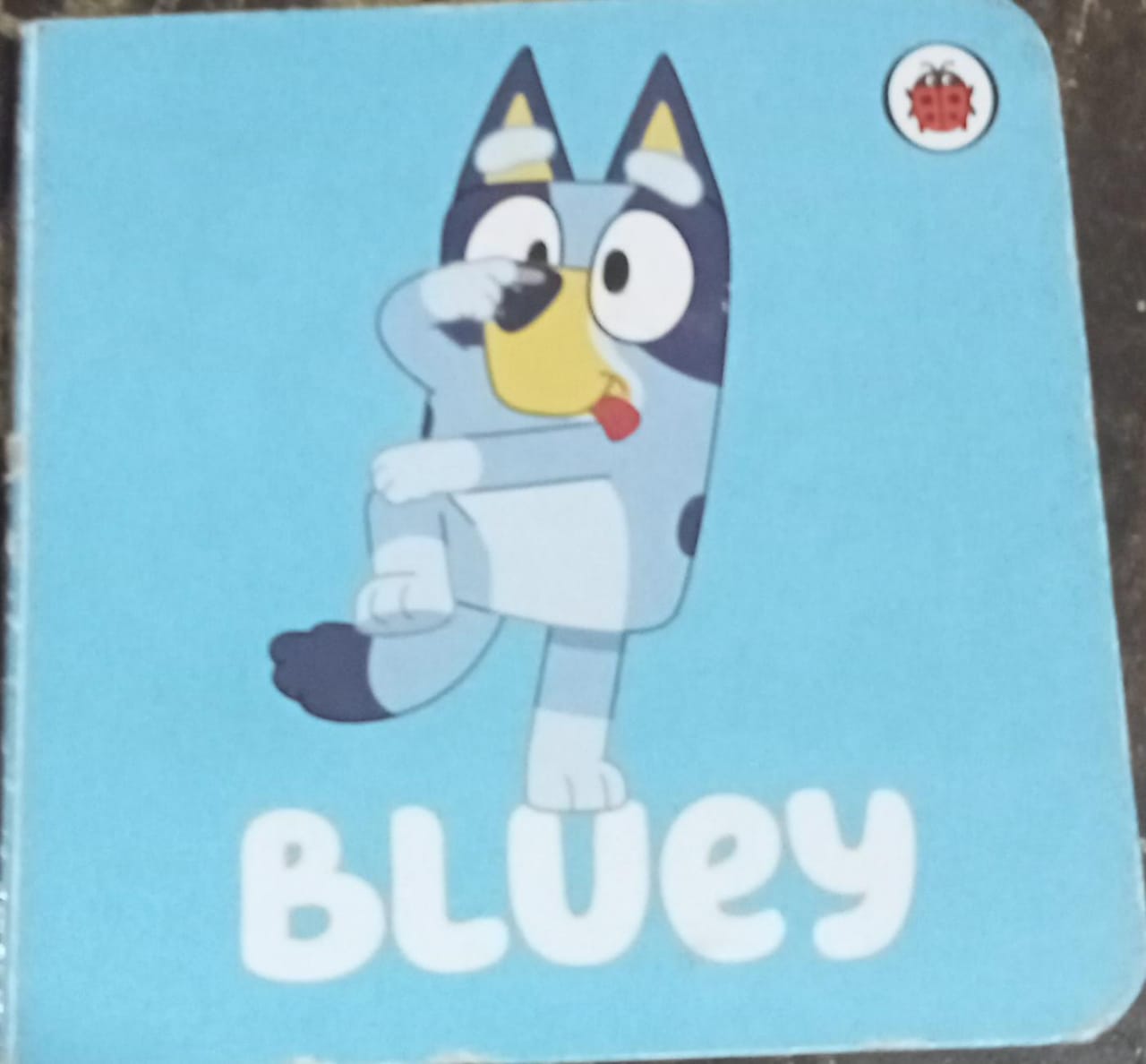 Bluey BOARD BOOK