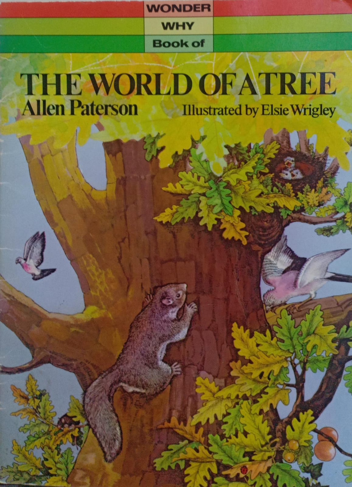 The world of a tree