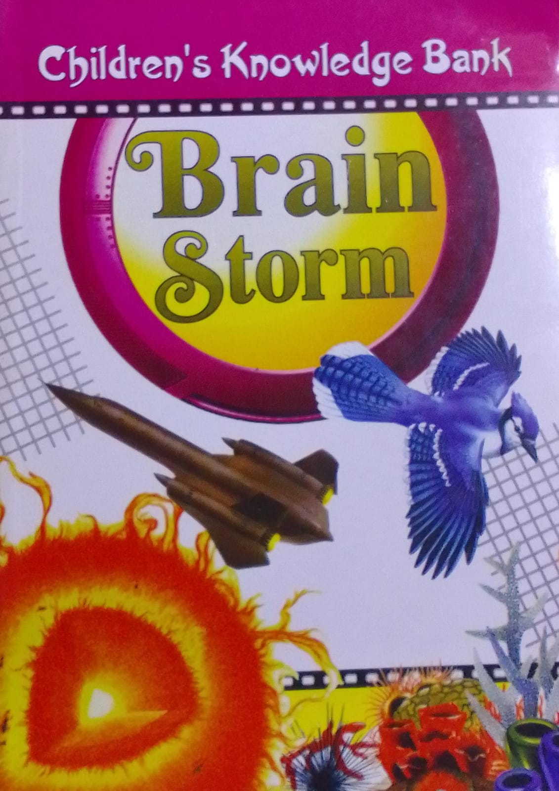 Brain Storm : Child rens Knowledge Bank – Best Of Used Books