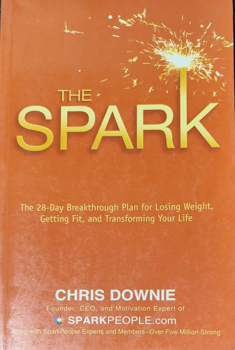 The Spark by Chris Downie