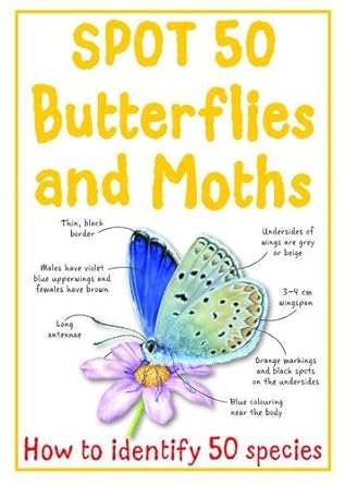 Spot 50 Butterflies & Moths