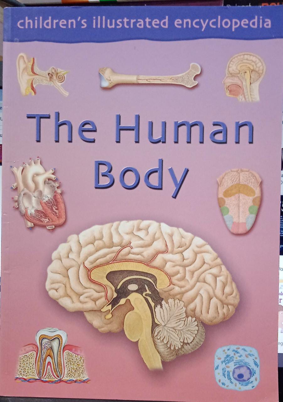 THE HUMAN BODY