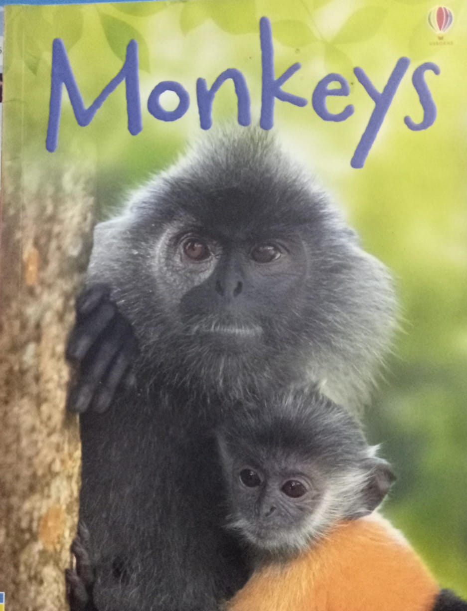 Monkeys