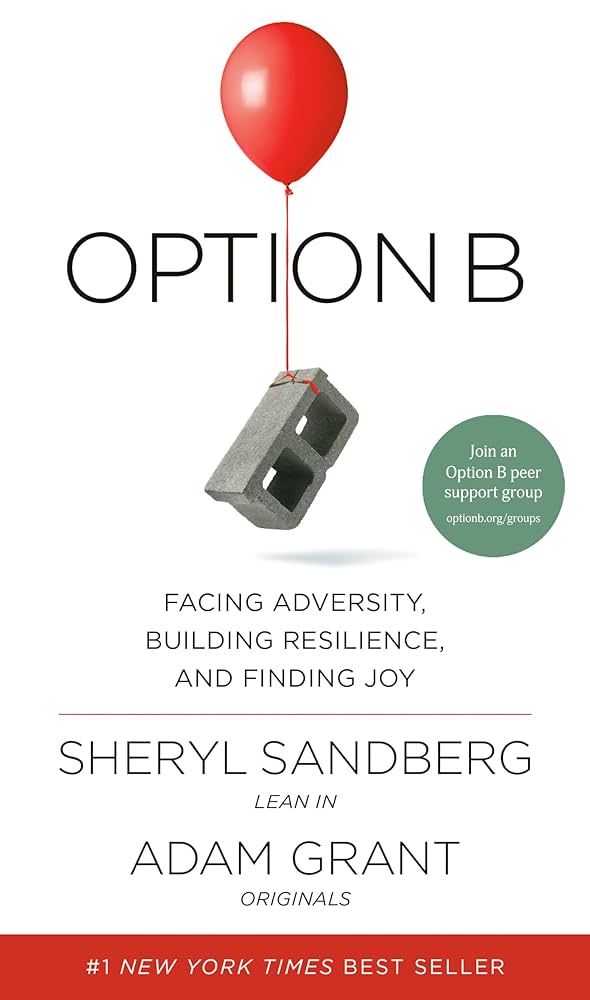 Option b by Sheryl Sandberg
