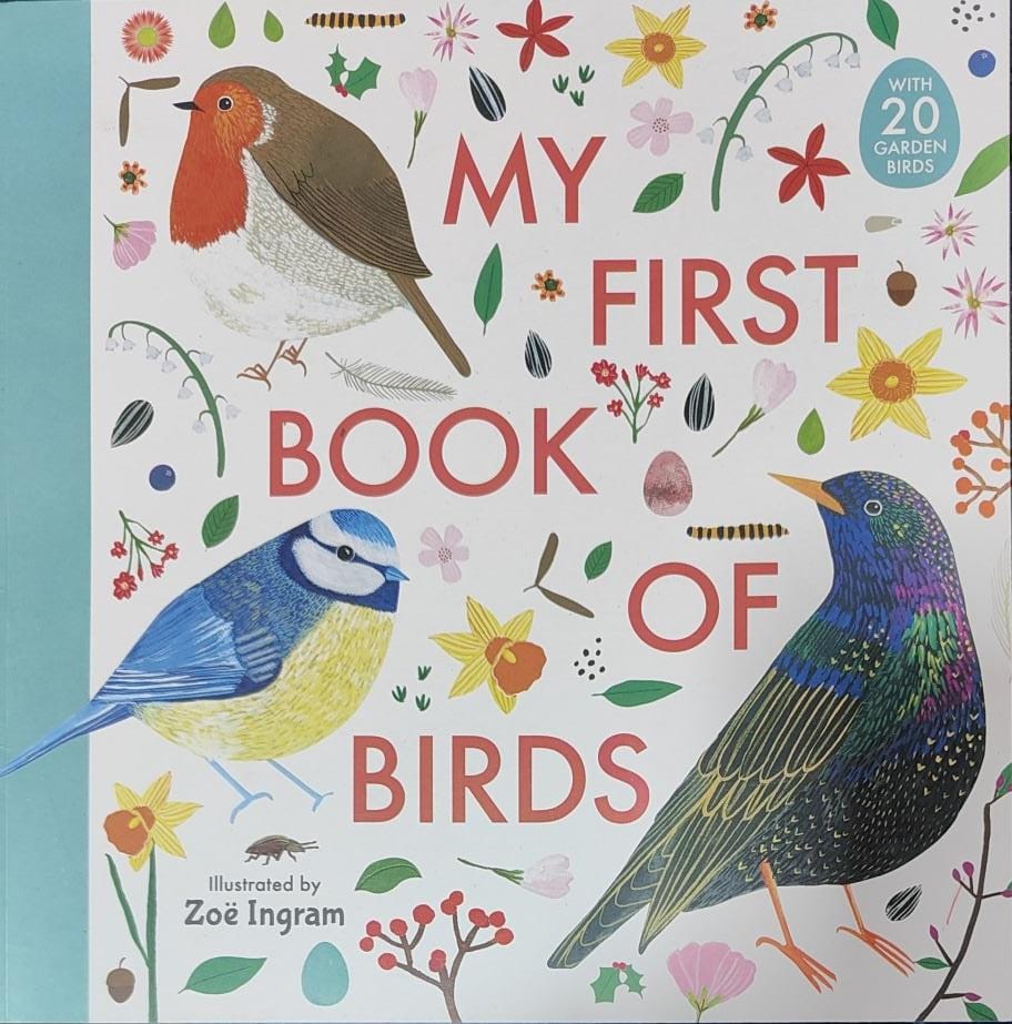 My First Book Of Birds
