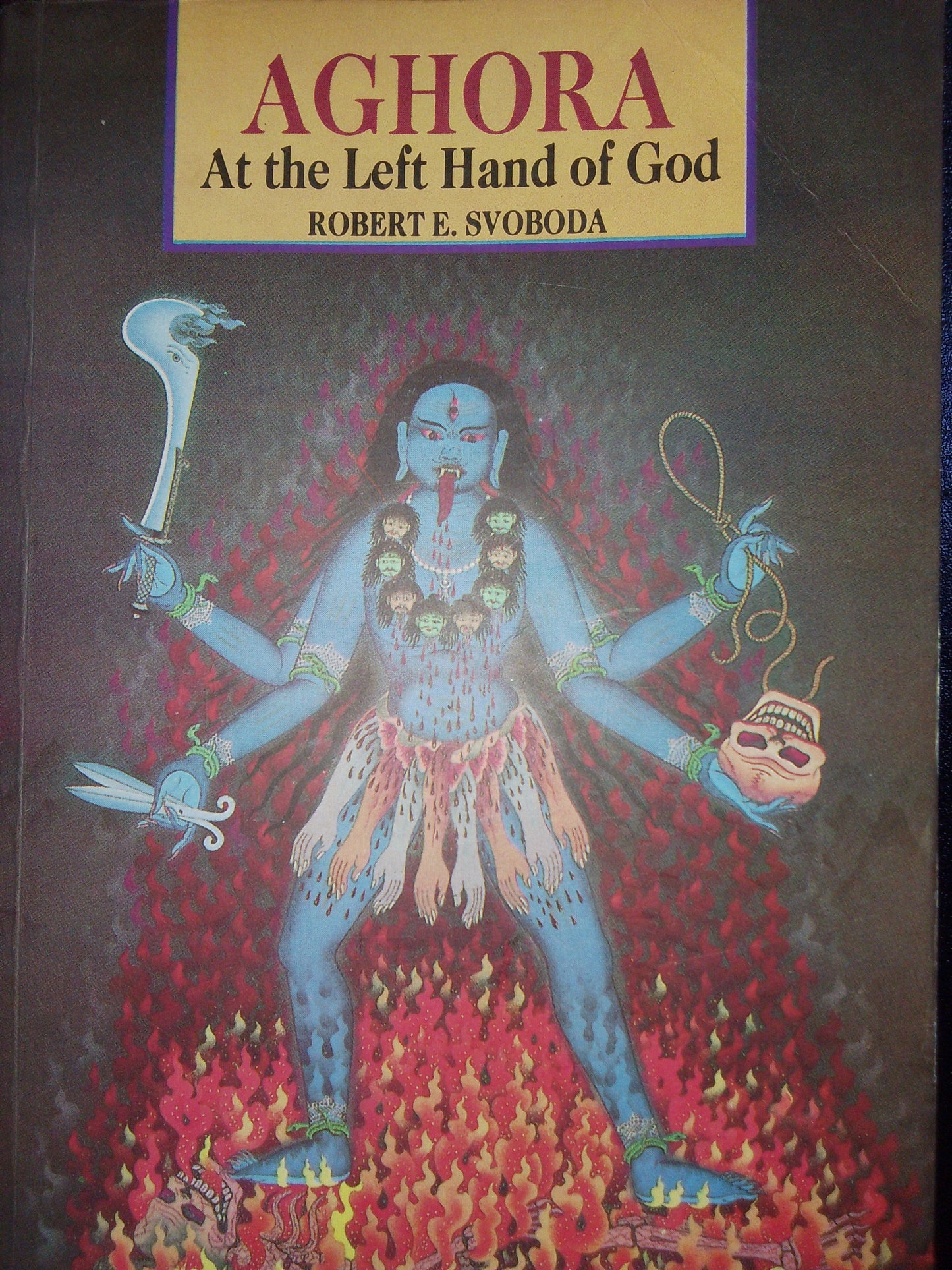 Aghora-I :at the left hand of god by Robert Svobod