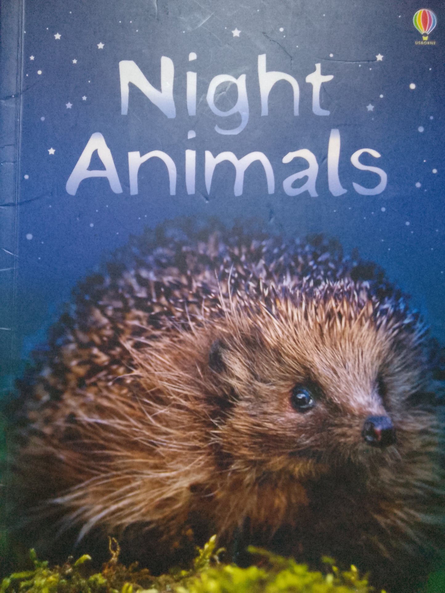 Night Animals