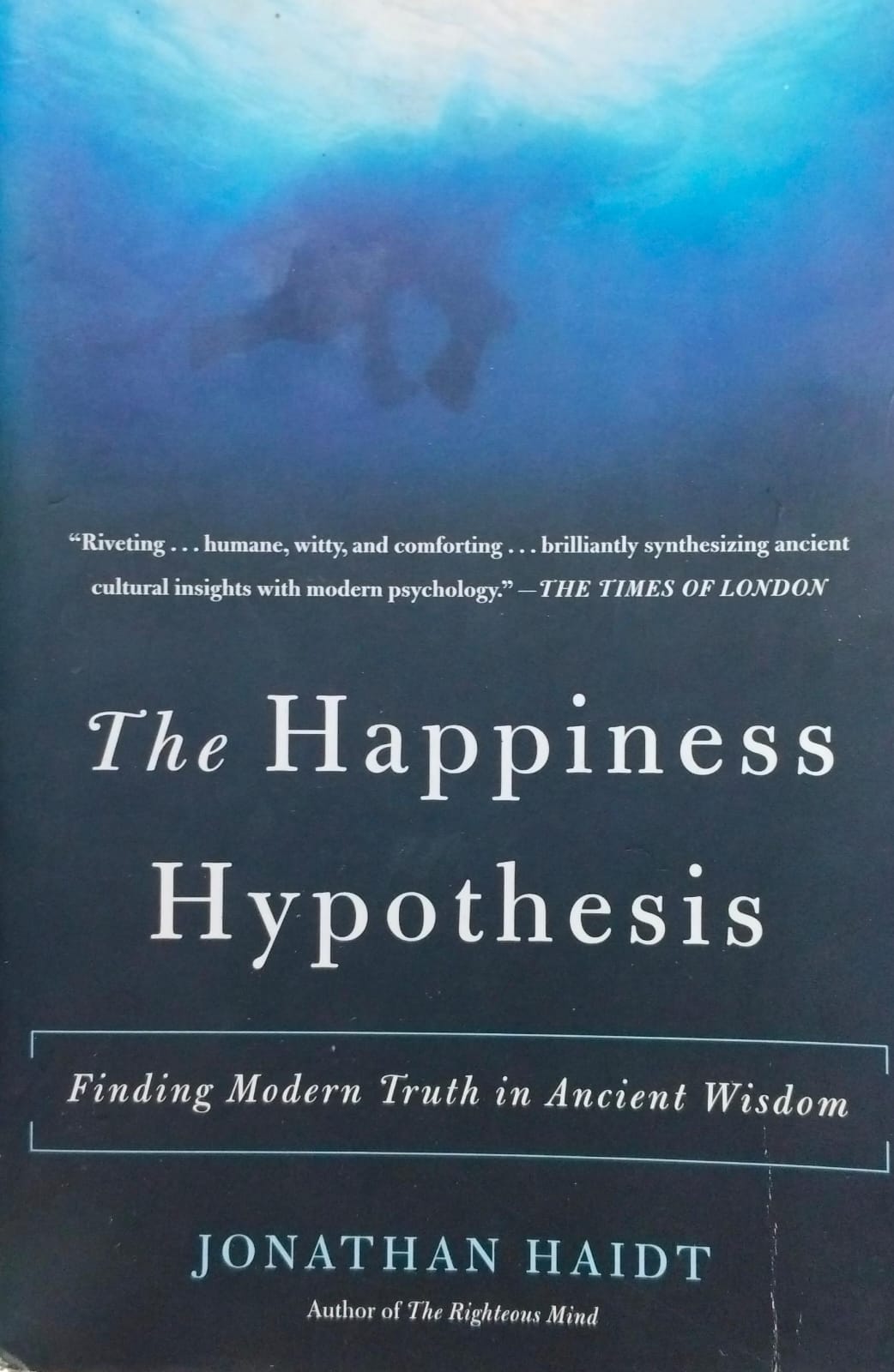 The happiness hypothesis by jonathan haidt