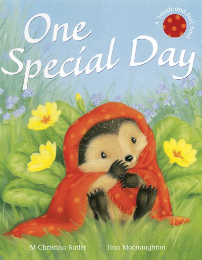 One Special Day (TOUCH & FEEL BOOK)
