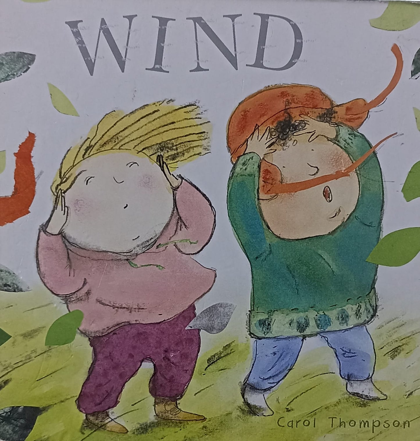 WIND (BOARDBOOK)