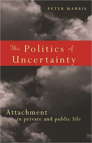 The Politics of Uncertainty (RARE BOOKS)