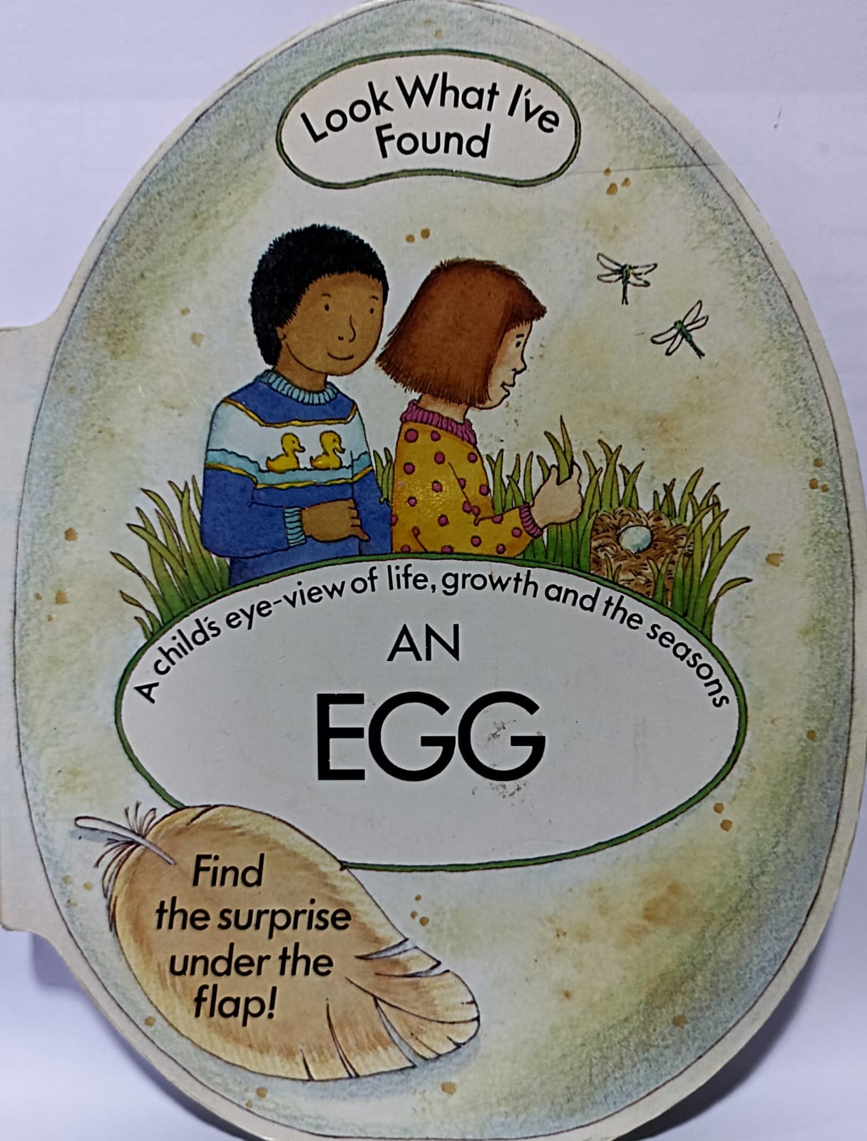 An Egg (Look what I've found!) (FIND THE SURPRISE UNDER THE FLAP) (BOARDBOOK)