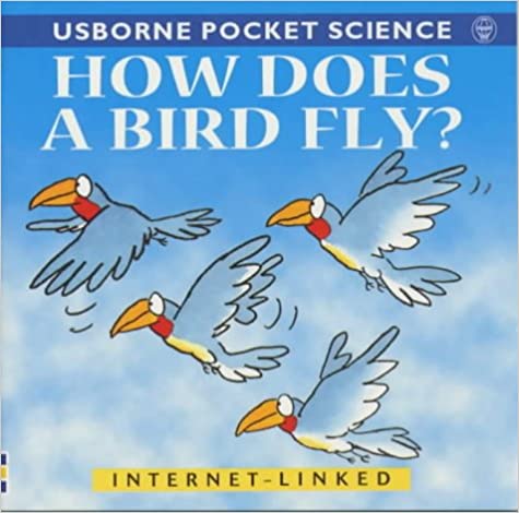 How Does a Bird Fly?