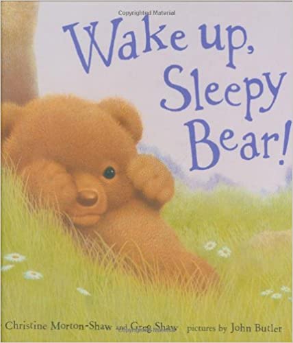 Wake Up, Sleepy Bear!