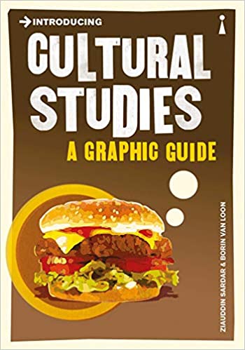 Introducing Cultural Studies (RARE BOOKS)