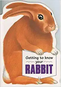Getting to Know Your Rabbit