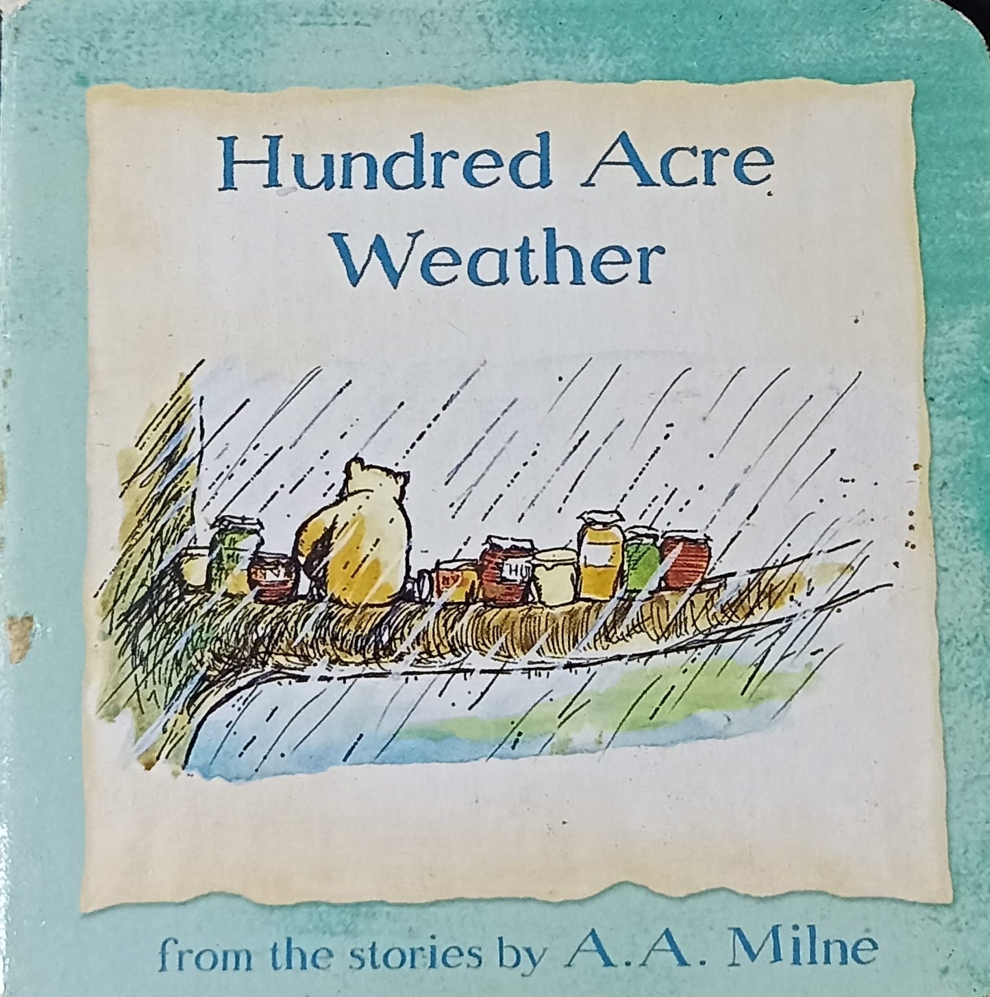 Hundred acre weather (palm size boardbook)