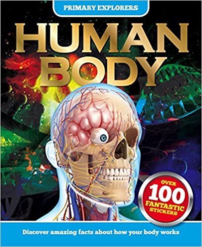 Human Body