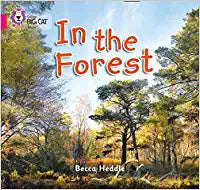 In the Forest