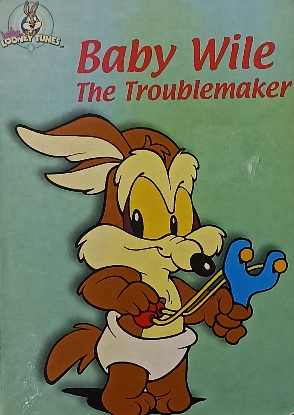 Baby Wile The Troublemaker (BOARDBOOK)