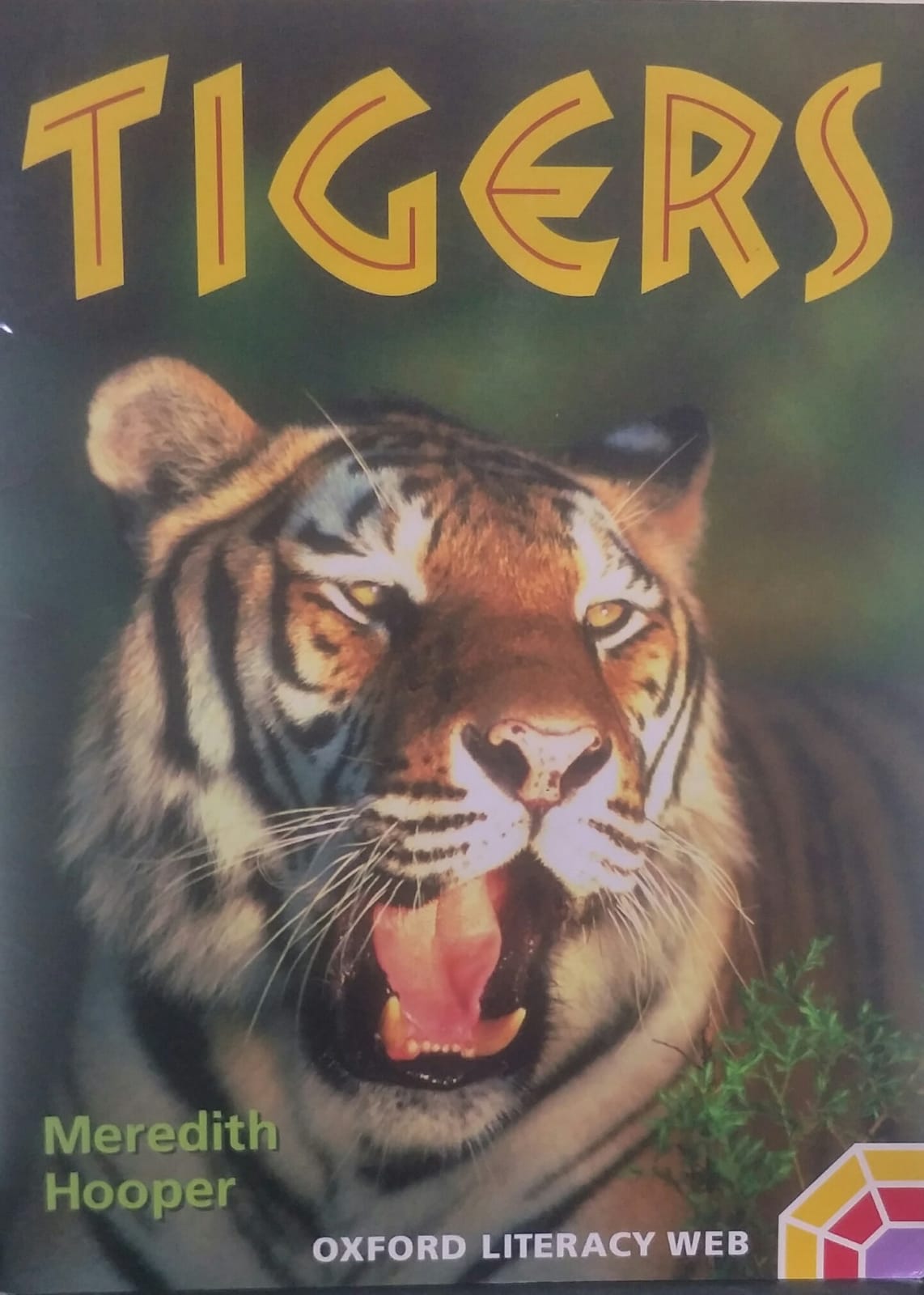 TIGERS