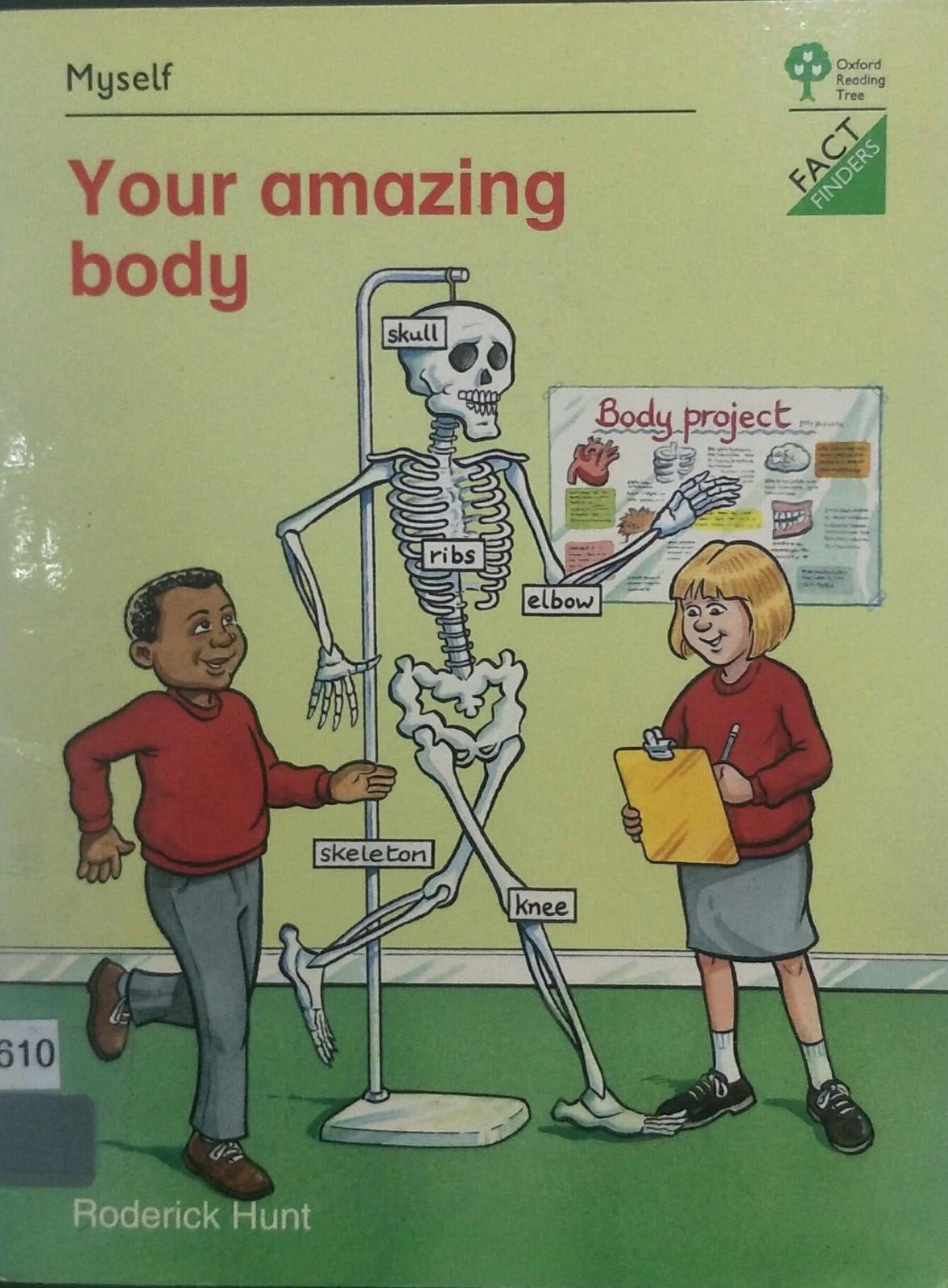 YOUR AMAZING BODY