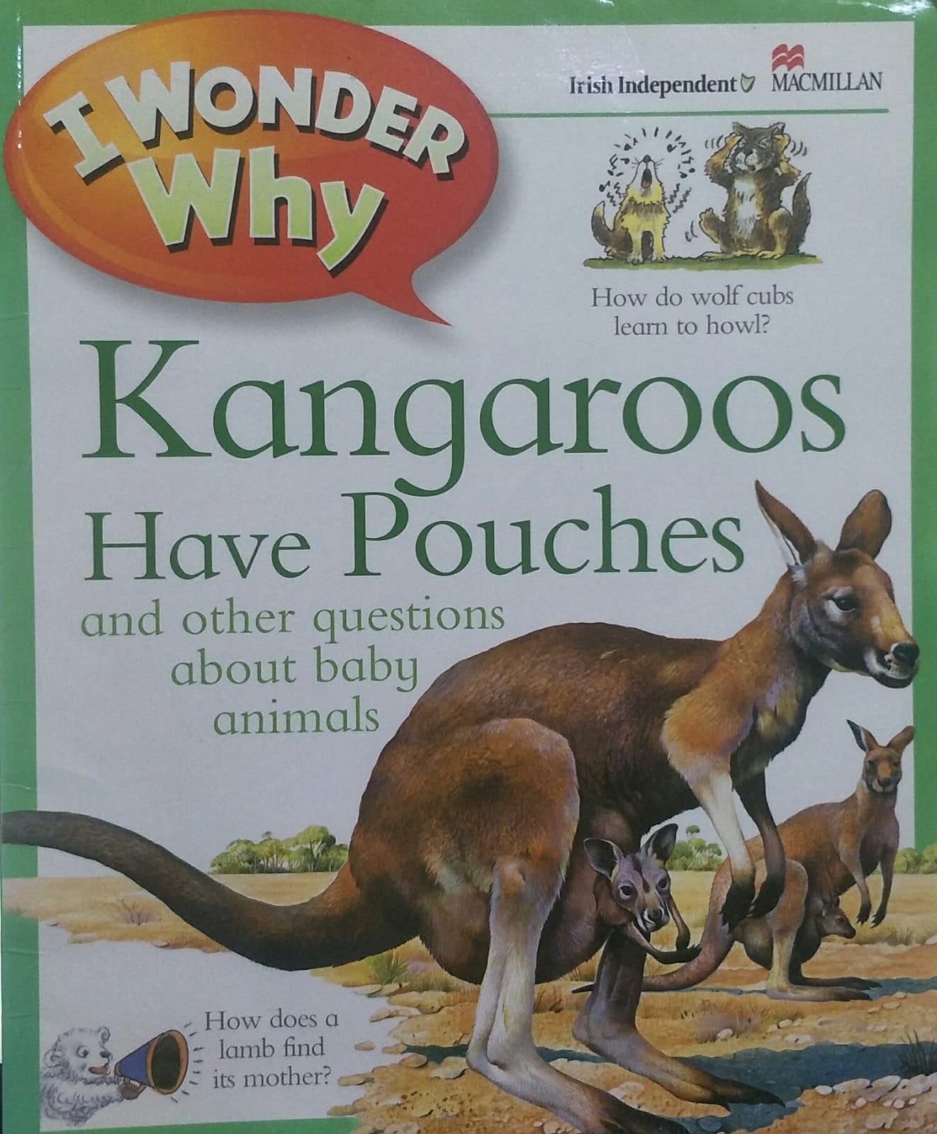 KANGAROOS HAVE POUCHES