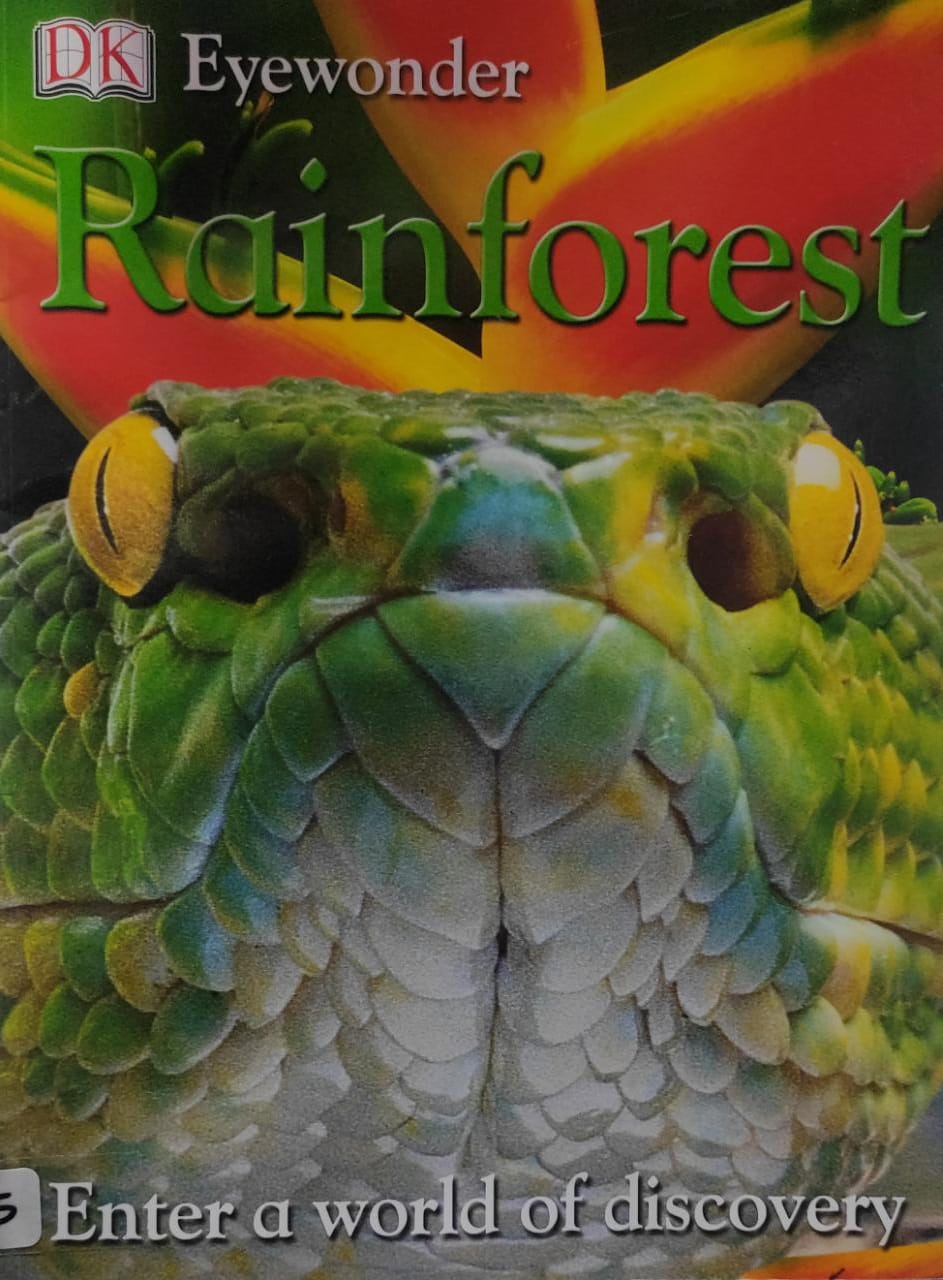 Rain Forest (Dk Eyewonder)