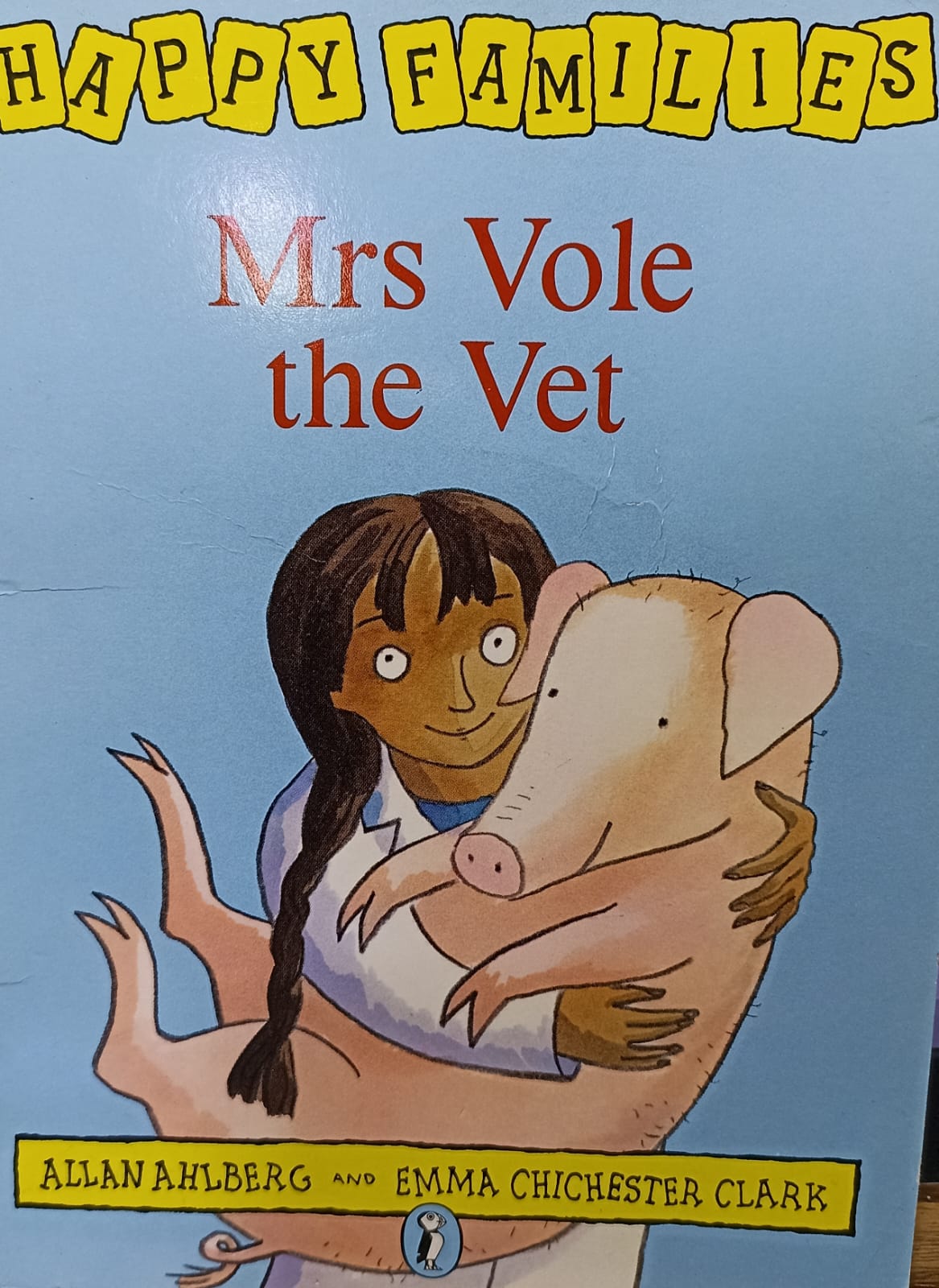 Mrs Vole The Vet