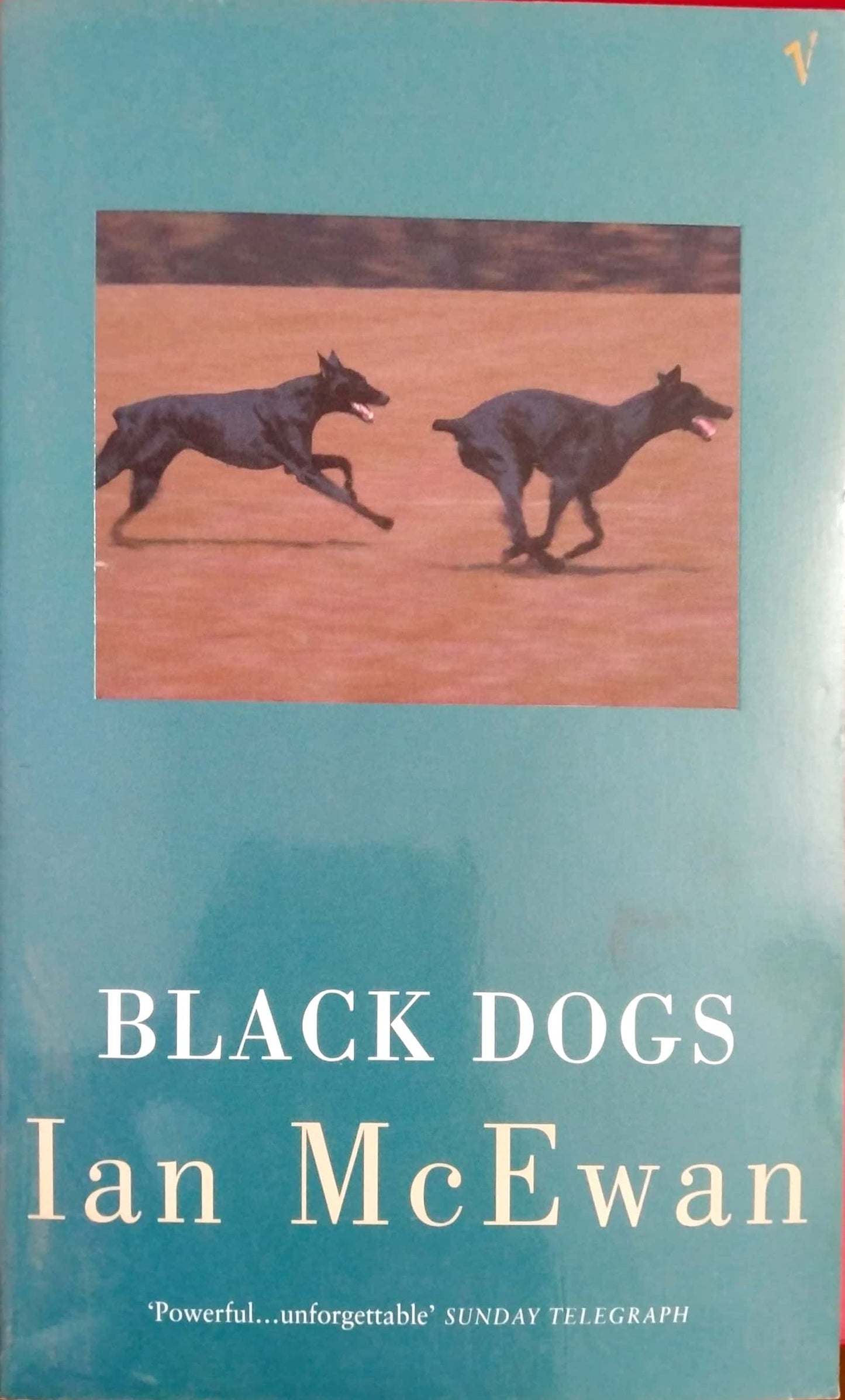 Black Dogs