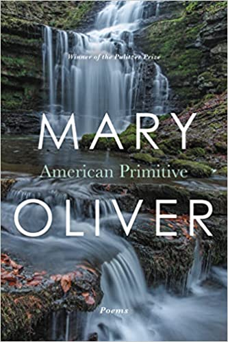 AMERICAN PRIMITIVE