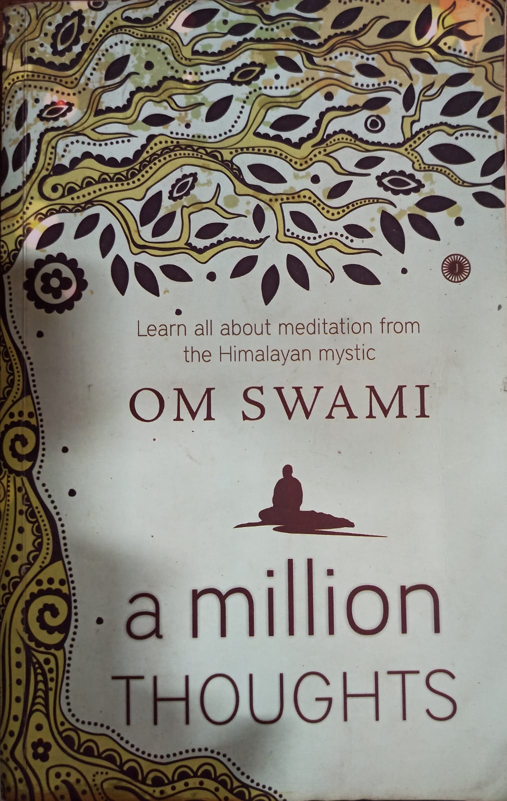 A million thoughts: learn all about meditation from the himalayan mystic by Om Swami