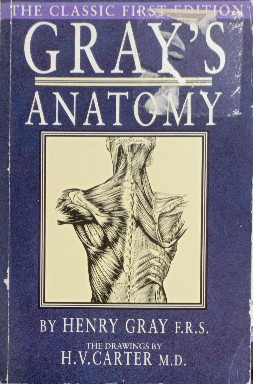 Anatomy