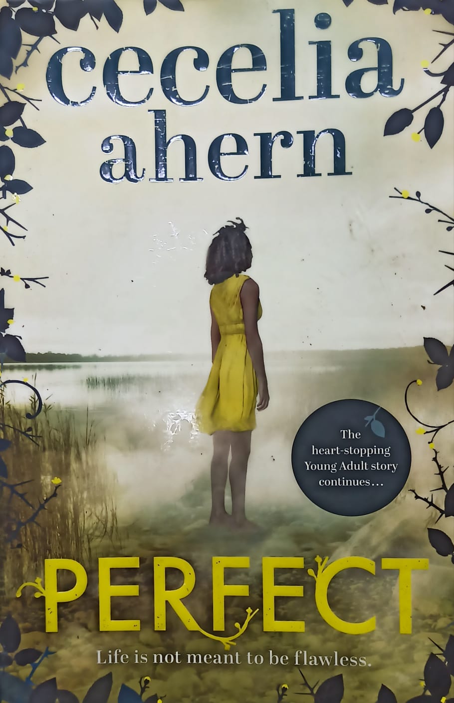 Perfect by Cecelia Ahern