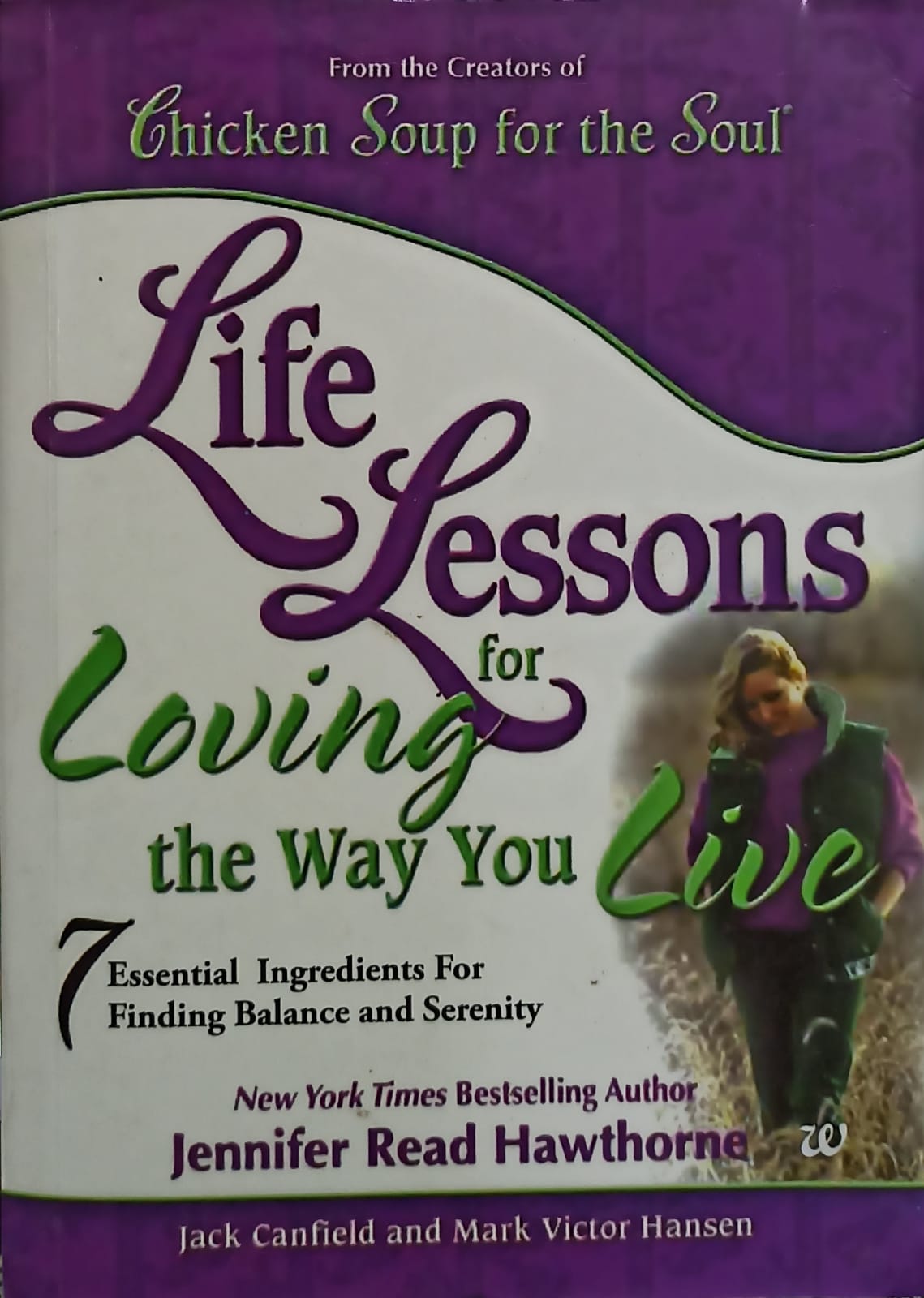 Chicken soup for the soul life lessons for loving the way you live