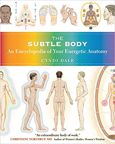 The Subtle Body (RARE BOOKS)