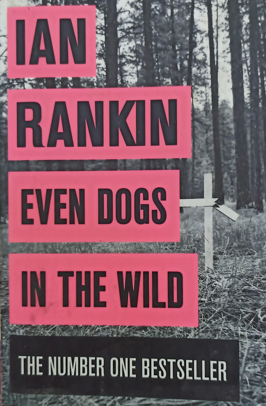 Even Dogs in the Wild