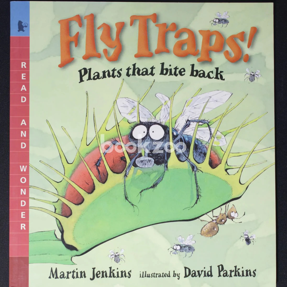 Fly Traps!