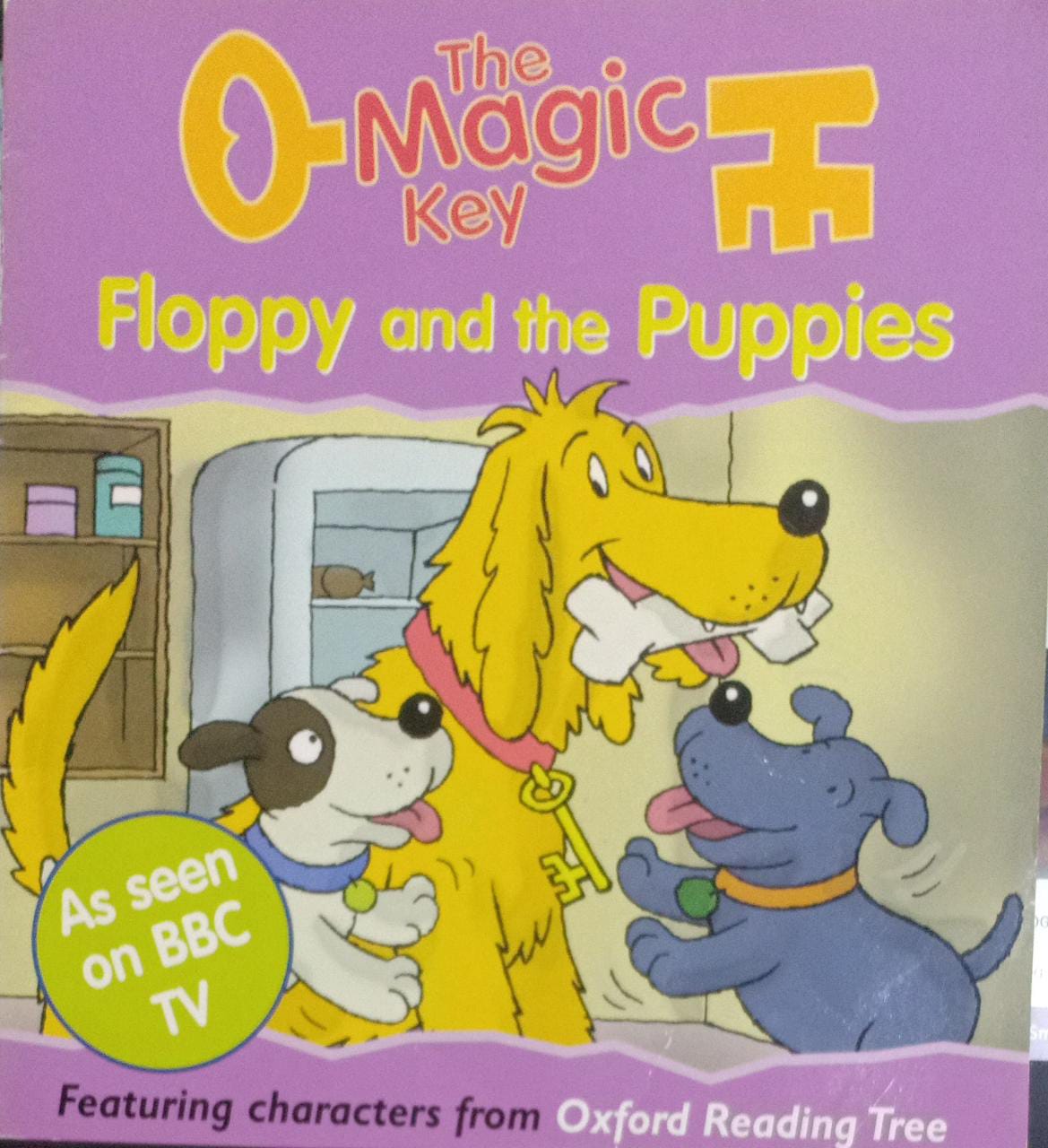 Floppy and the Puppies (The magic key story books)