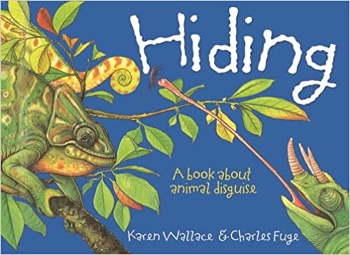 Hiding: A book about animal disguises (Wonderwise)