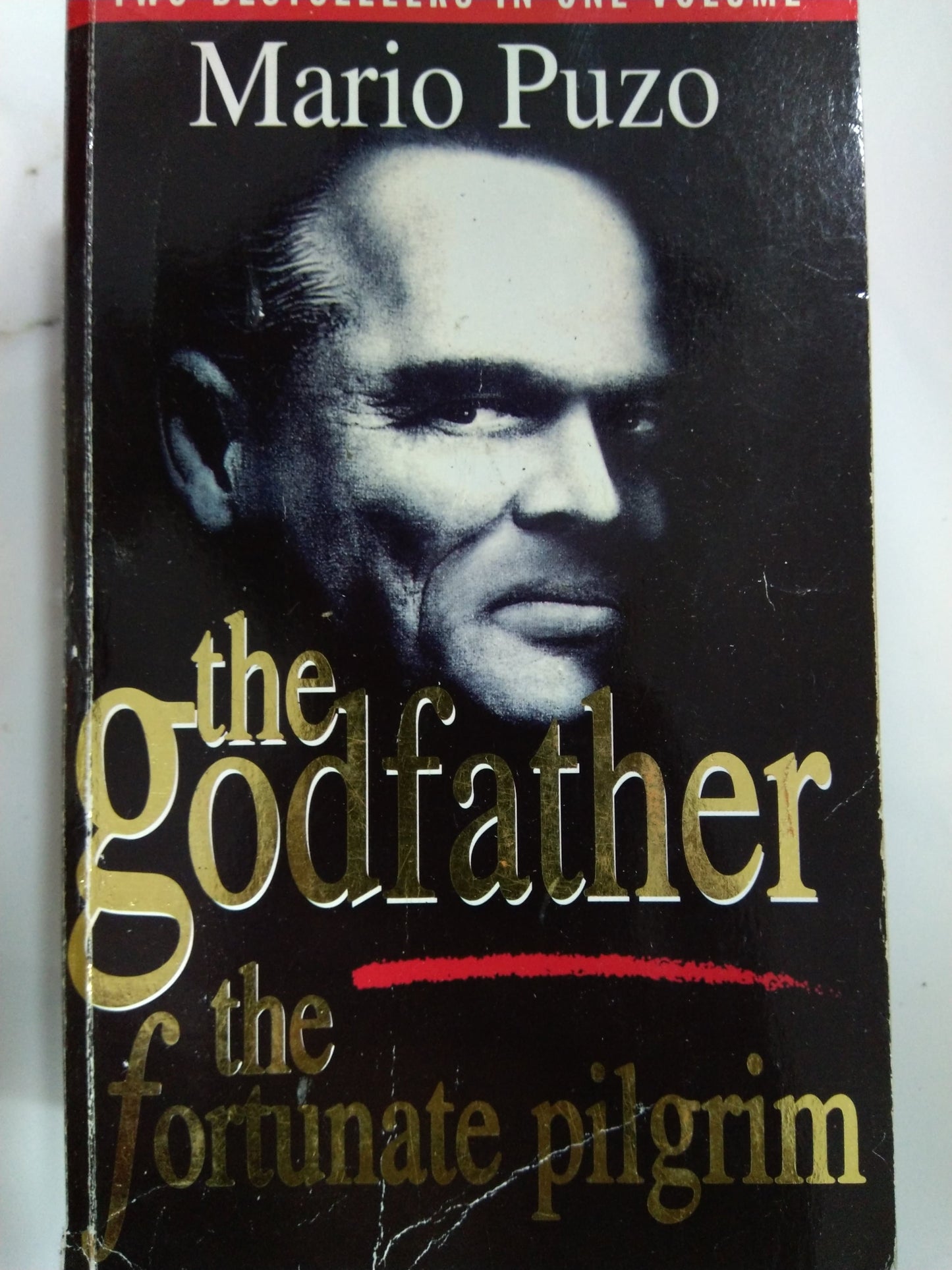 THE GODFATHER / THE FORTUNATE PILGRIM (2 IN 1)