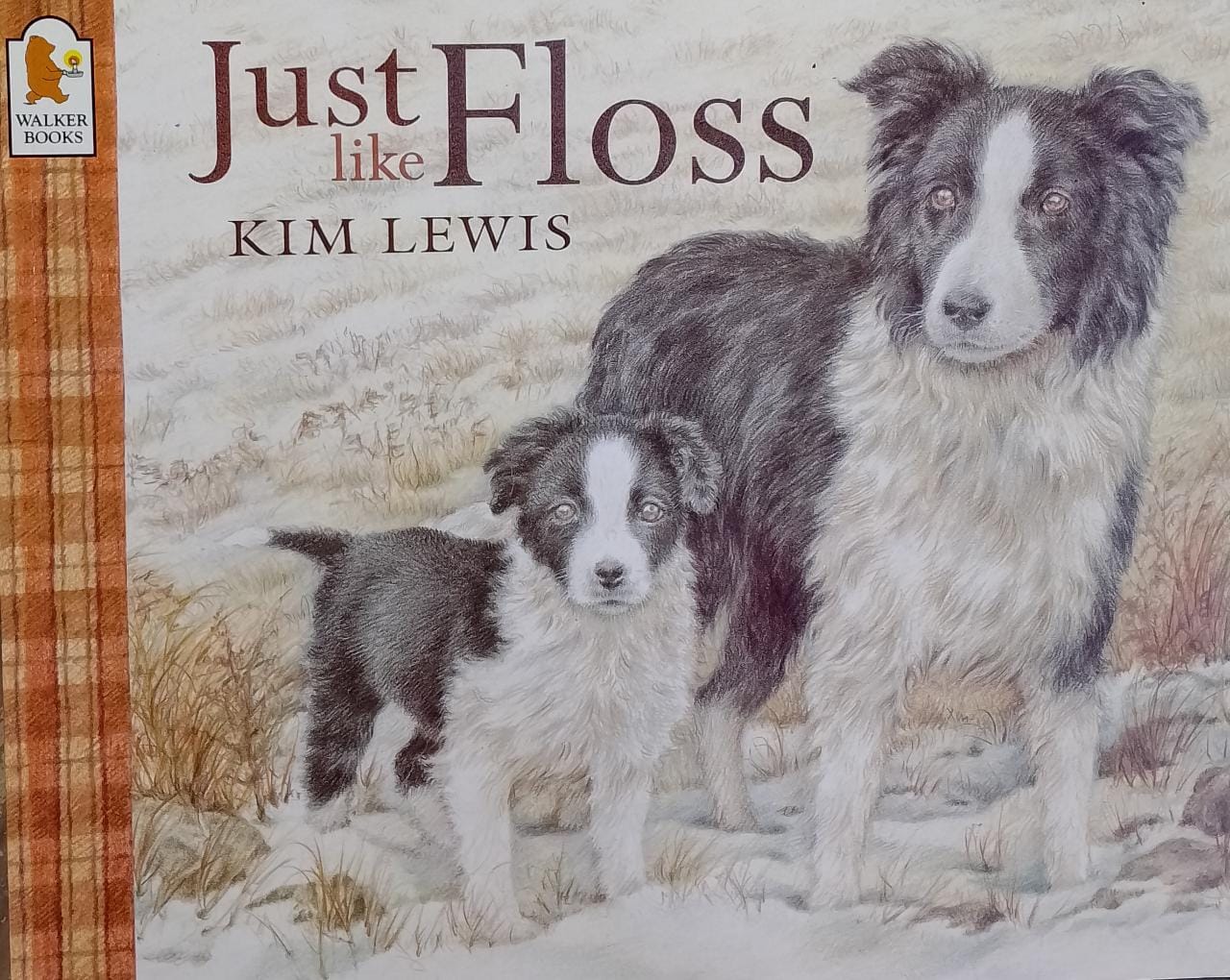 Just Like Floss Paperback