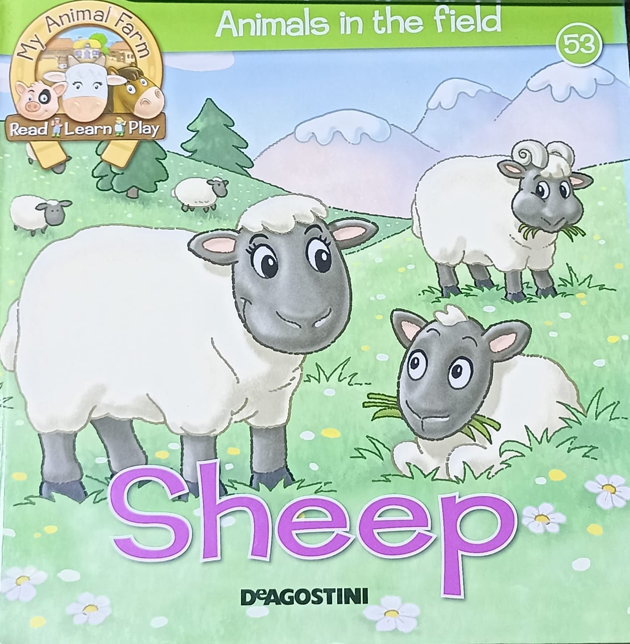 SHEEP Animals in the field {HARDCOVER}